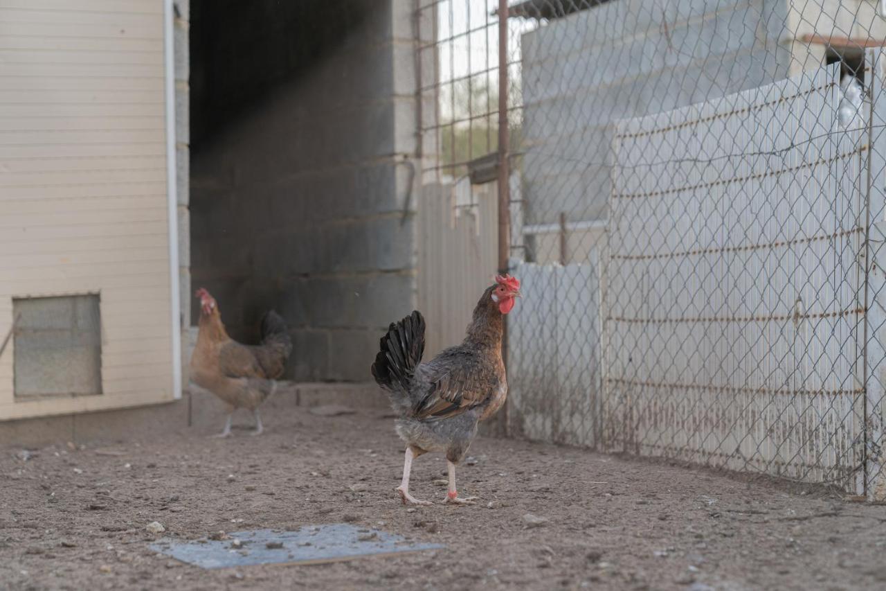 Alojamiento Rural Junto A Via Verde โอลเวรา ภายนอก รูปภาพ