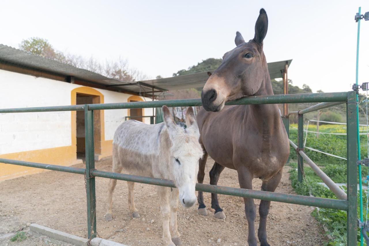 Alojamiento Rural Junto A Via Verde โอลเวรา ภายนอก รูปภาพ